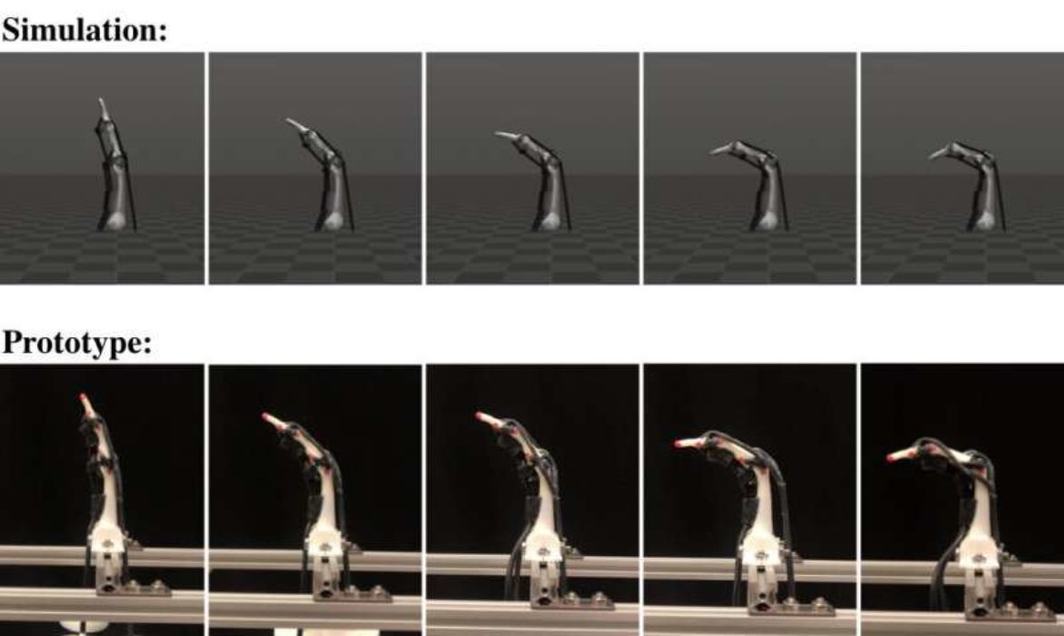 A biomimetic robotic finger created using 3D printing